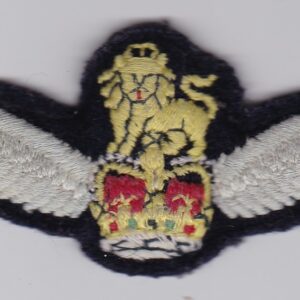 A badge with wings and a crown on it.