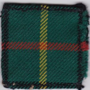 A green and yellow tartan patch on a white surface.