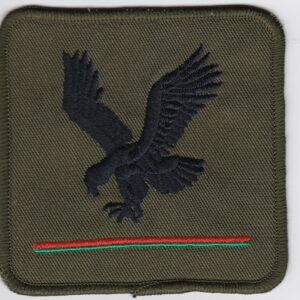 A green patch with an eagle on it.