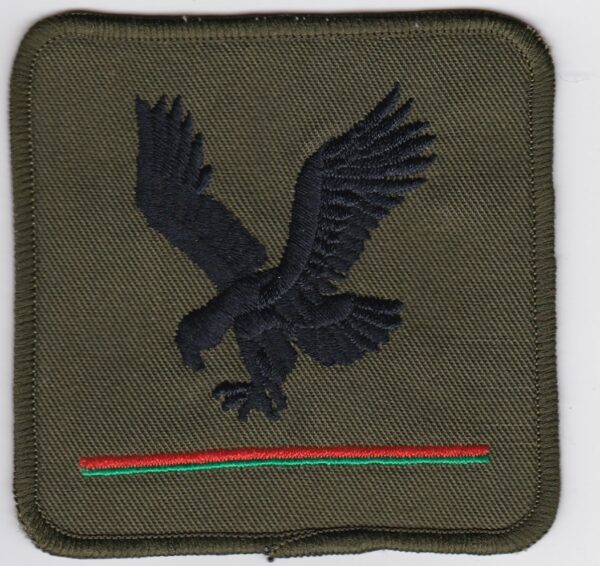 A green patch with an eagle on it.