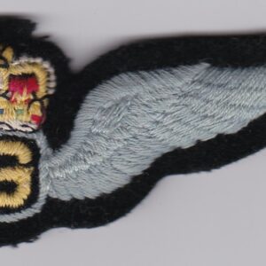 A badge with a crown and wings on it.