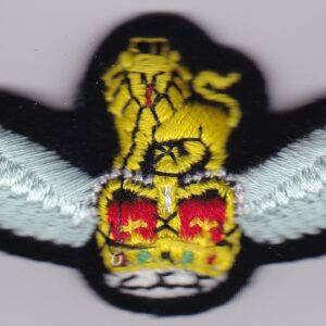 A badge with a golden eagle on it.