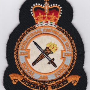 A RAF Patch 229 OCU Operational Conversion Unit Flight Crest Tornado F2 F3 with a sword on it.