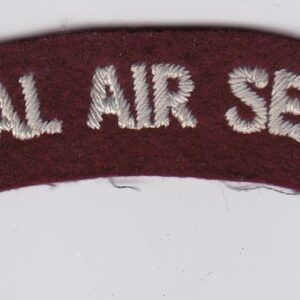 A special air service patch on a white surface.