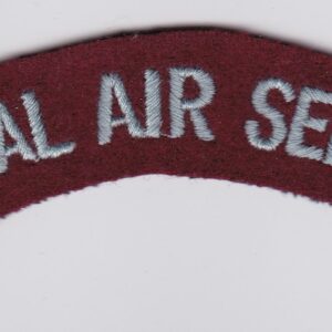 A special air service embroidered patch on a white surface.