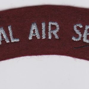 A special air service patch on a white surface.