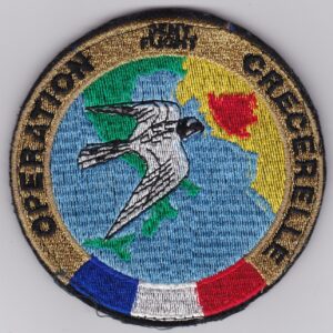 A patch with an image of a bird flying in the sky.