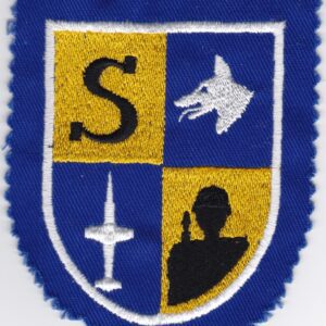 A blue and yellow badge with a sword and a shield.