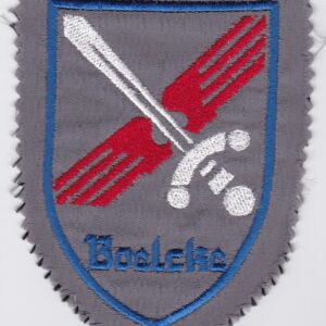 A badge with a sword and a sword on it.