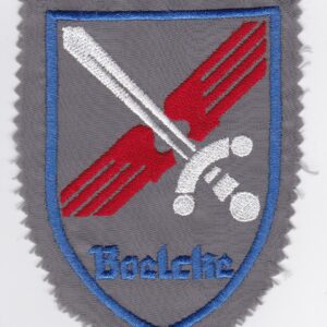 A badge with a sword and a sword on it.