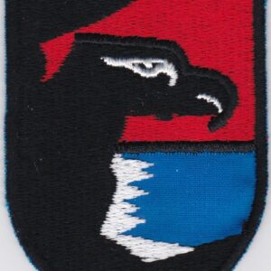 A patch with an eagle on it.