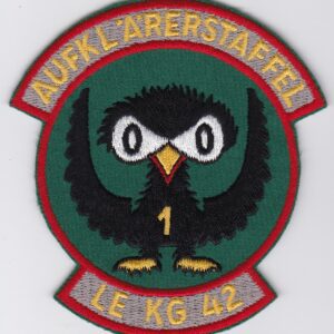 A green patch with an owl on it.