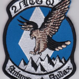 A patch with an eagle on it.