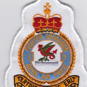 A patch with the crest of the royal air force.