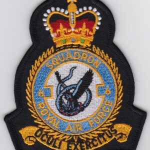 A patch with the emblem of the royal air force.