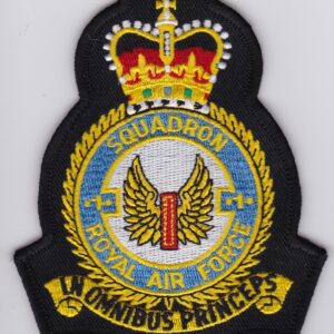 A patch with the crest of the royal air force.