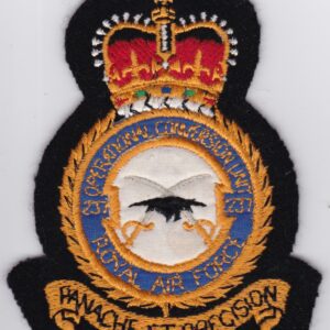 A badge with the emblem of the royal air force.