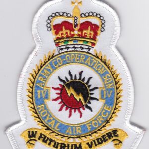 A patch with the emblem of the royal air force.