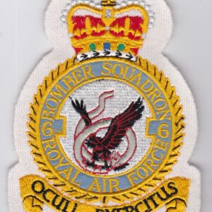 A badge with an eagle on it.