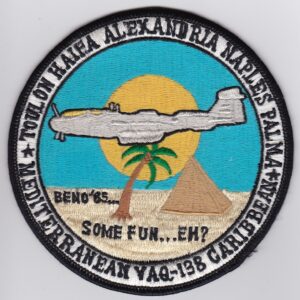 A patch with a plane on it and a palm tree in the background.