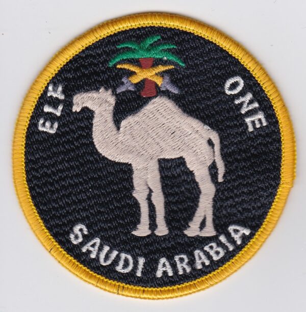 USAF ELF 1 AWACS Patch USAFE Saudi Arabia E 3 Gulf Patrol