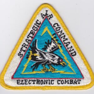 A triangle patch with an eagle on it.