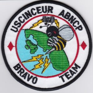 USAF 10 ACCS Squadron Patch USAFE Airborne Command