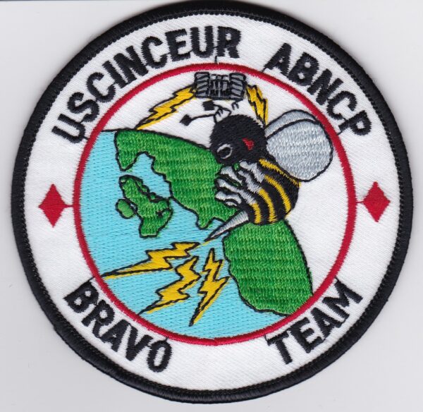 USAF 10 ACCS Squadron Patch USAFE Airborne Command