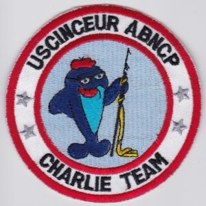 USAF 10 ACCS Squadron patch USAFE Airbourne Command