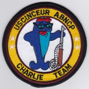 USAF 10 ACCS Squadron Patch USAFE Airbourne Command