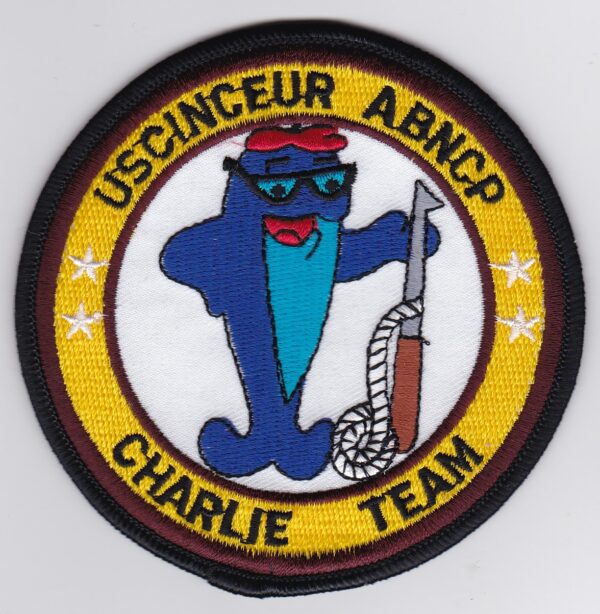 USAF 10 ACCS Squadron Patch USAFE Airbourne Command