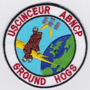 USAF 10 ACCS Squadron Patch USAFE Airbourne Command