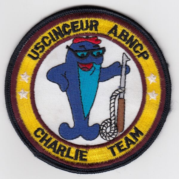 USAF 10 ACCS Squadron Patch USAFE Airbourne Command