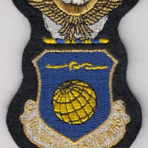 USAF 10 TFW Fighter Patch USAFE Wing A 10 Thunderbolt II