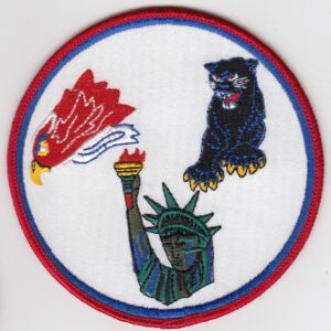 USAF 48 FW Fighter Patch USAFE Wing F 15E