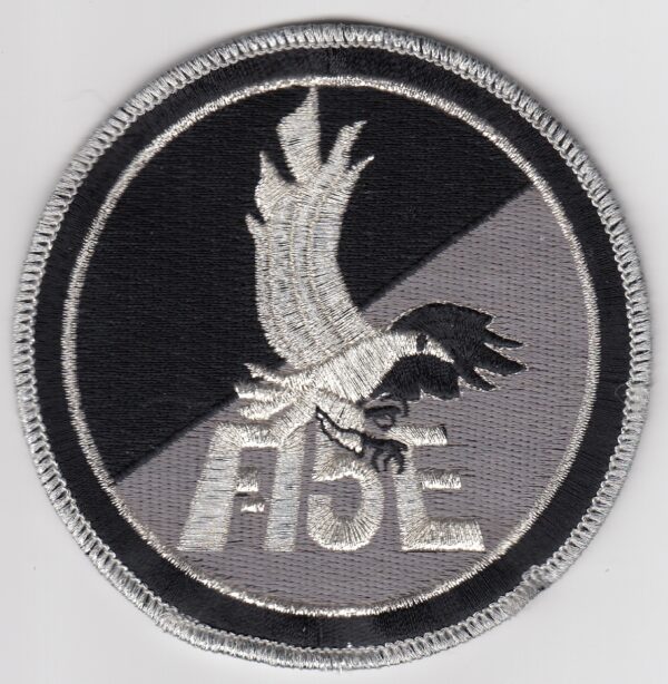 USAF 48 FW Fighter Patch USAFE Wing F 15E Qualified