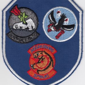 USAF USAFE 511 Patch TFW Gaggle 509 511 527 TFSs