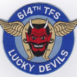 6th tfs lucky devils patch.