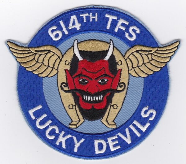 6th tfs lucky devils patch.