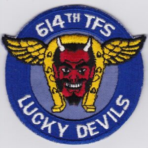 6th tfs lucky devils patch.