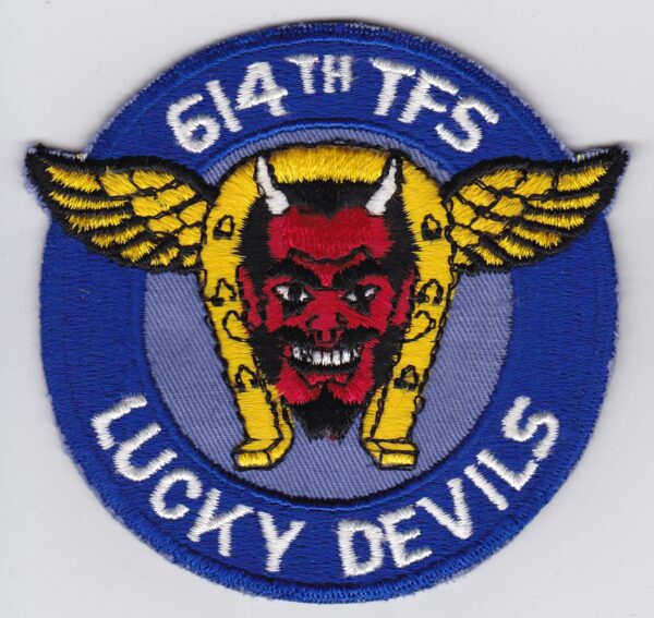 6th tfs lucky devils patch.