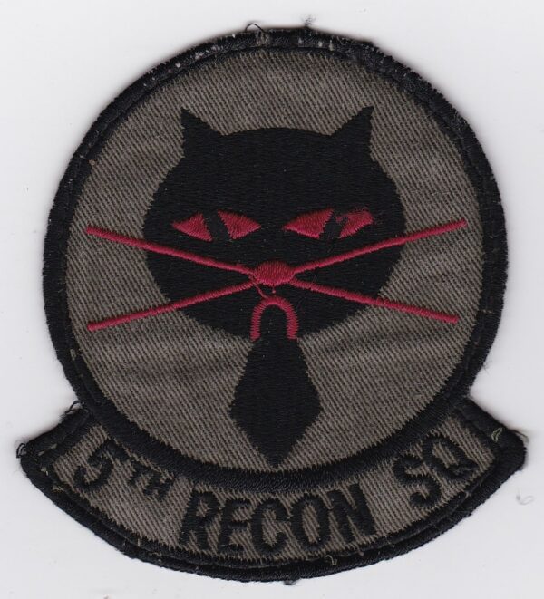 5th recon squadron patch.