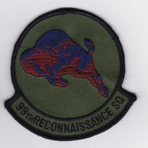 9th reconnaisance squadron patch.