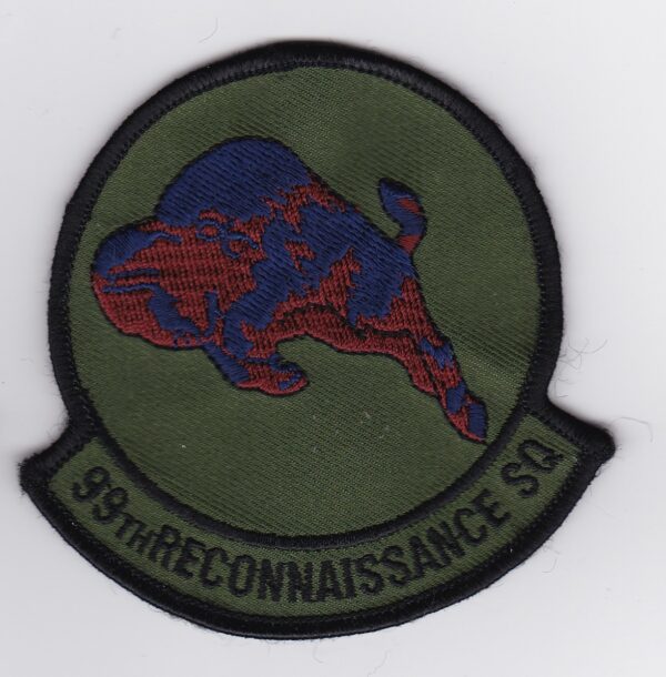 9th reconnaisance squadron patch.