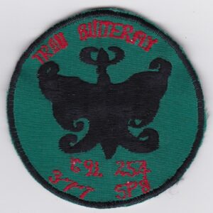 A green and black patch with a black eagle on it.