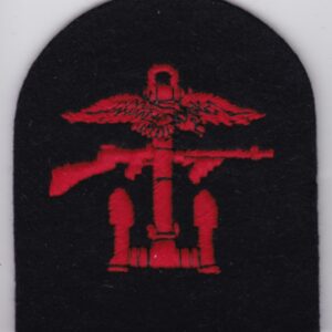 A British Commando WWII Patch Combined Operations Red Black Tomb b with an eagle on it.