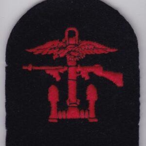 A British Commando WWII Patch Combined Operations Red Black Tomb b with an eagle on it.