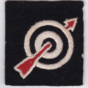 British Army Patch Formation Sign 6 Anti Aircraft Division