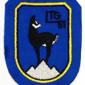 Lufttransportgeschwader LTG 61 Transport Wing C 160 German